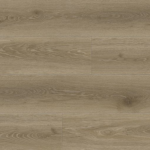 8388 Дуб Бертран