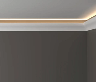 Профиль DD506