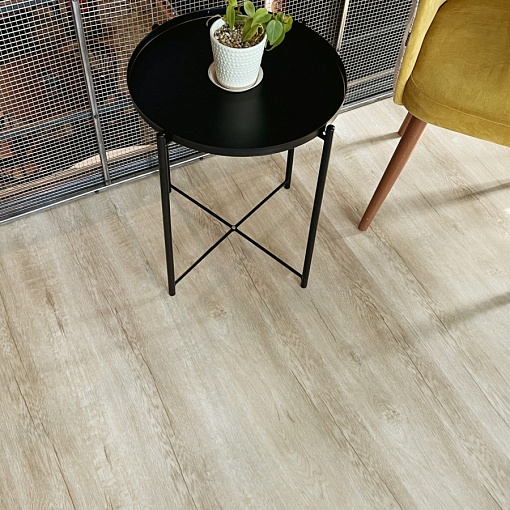 Q-10 Дуб Челси