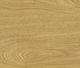 Пробковый пол Oak Deluxe в магазине напольных покрытий «Стильный пол»