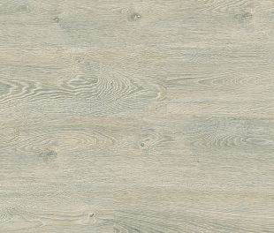 D1821 Дуб Винсент