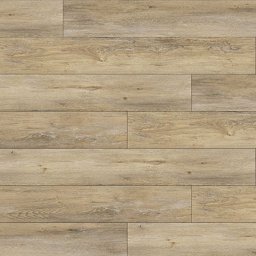 MV03 Дуб Содерс