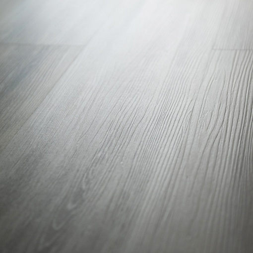 Q-13 Дуб Квинс