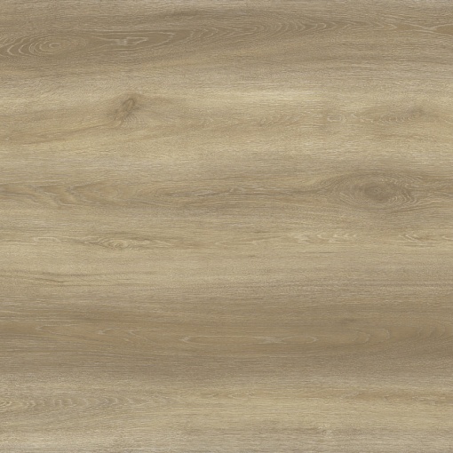 712 Дуб Бернардо