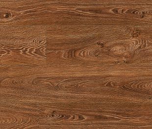 75035 Дуб Брайтон