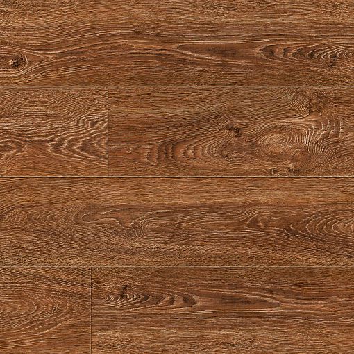 75035 Дуб Брайтон