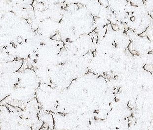 Настенное пробковое покрытие Monte Snow в магазине напольных покрытий «Стильный пол»