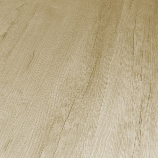 Q-10 Дуб Челси