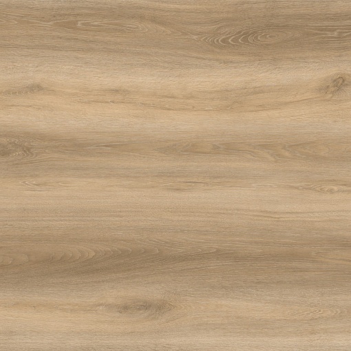 711 Дуб Арриго