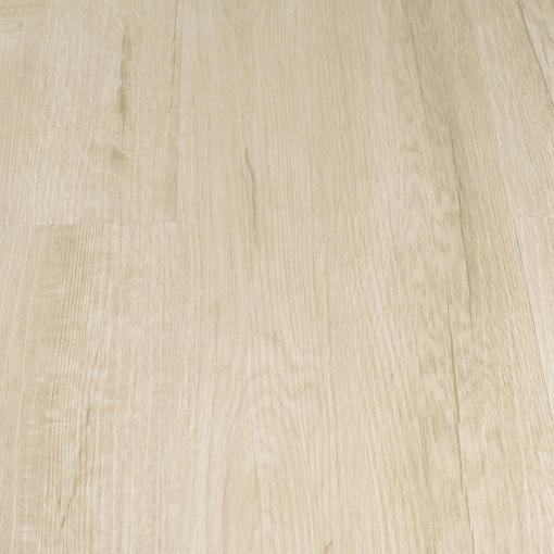 Q-10 Дуб Челси