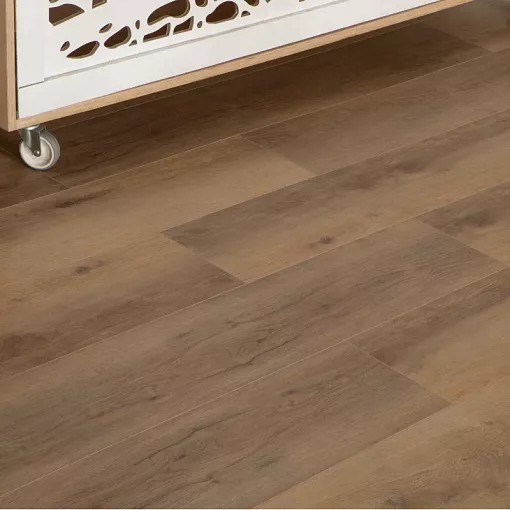 10130V Дуб Антверпен