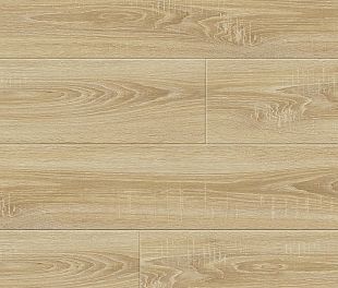 59967 Монте-Тиберио