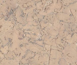 Настенное пробковое покрытие Monte Silver в магазине напольных покрытий «Стильный пол»