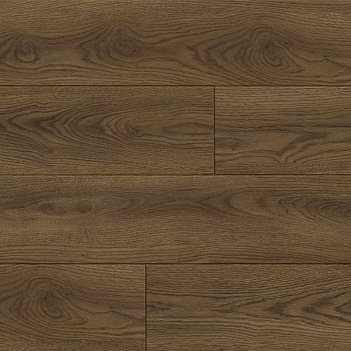 6642 Дуб Бэкстер