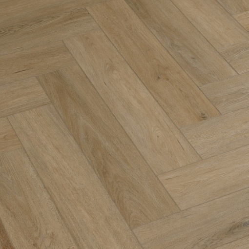 213 Дуб Тревизо