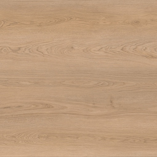 718 Дуб Орландо