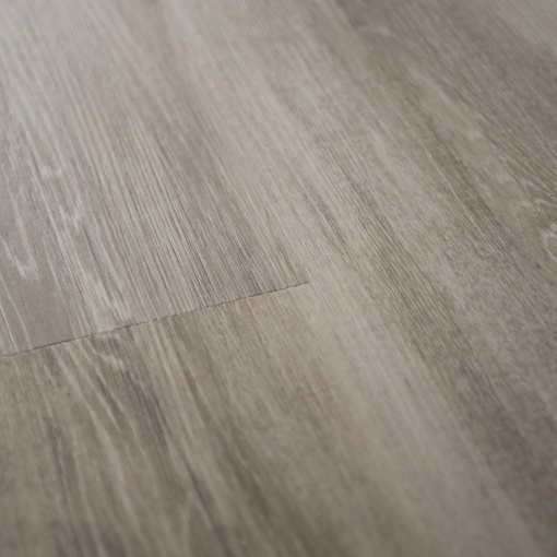 Q-13 Дуб Квинс