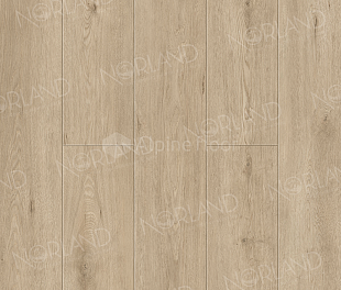 Abbi 1006-1