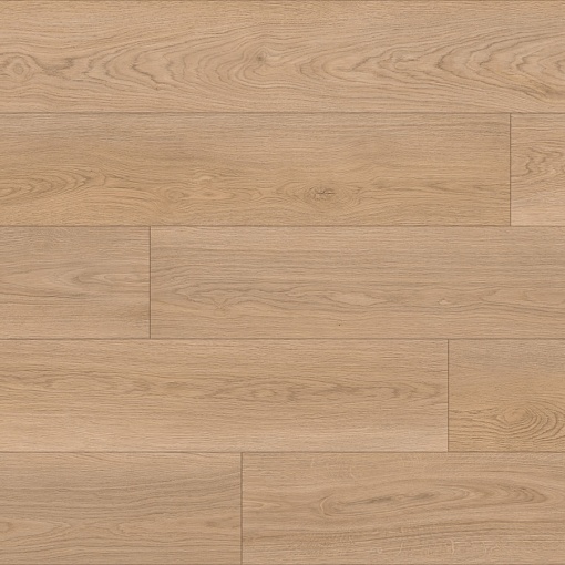 718 Дуб Орландо