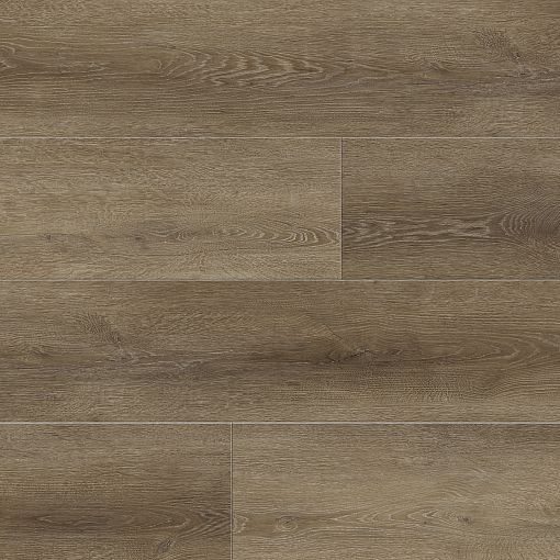 MV34 Дуб Данте