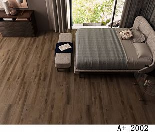 2002 Дакота
