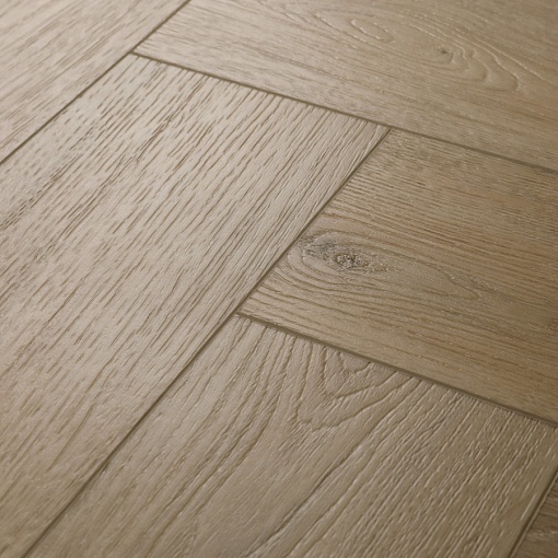 213 Дуб Тревизо