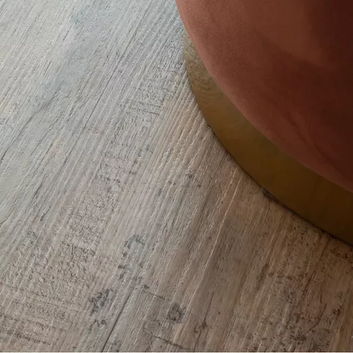 Дуб Росток 66777 Glue