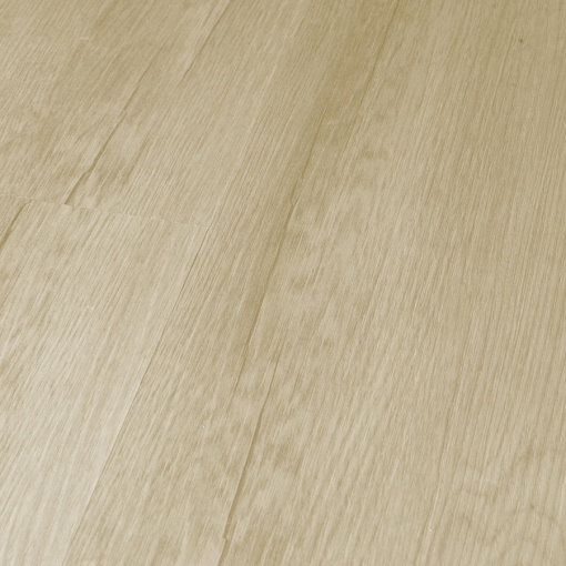 Q-10 Дуб Челси