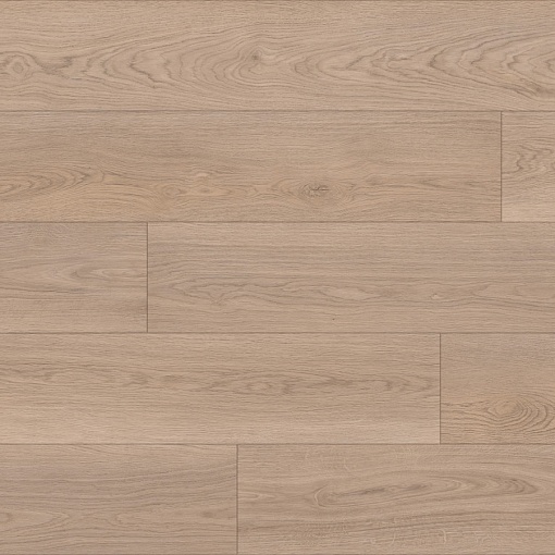 719 Дуб Помпео