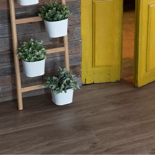 14609 Дуб Ваймар