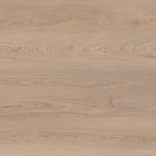 719 Дуб Помпео