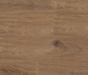 4166 Дуб Фридман