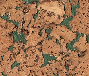 Настенное пробковое покрытие Monte Green в магазине напольных покрытий «Стильный пол»