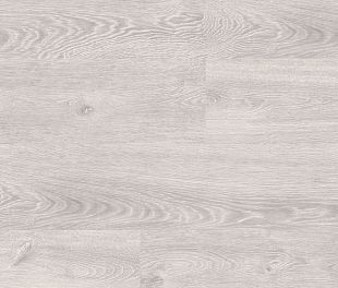 D1824 Дуб Грюйер