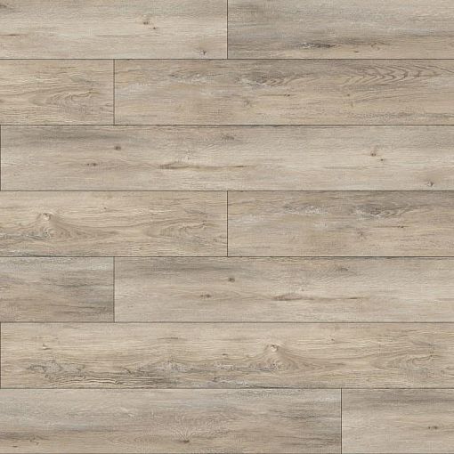 MV74 Дуб Тейнир