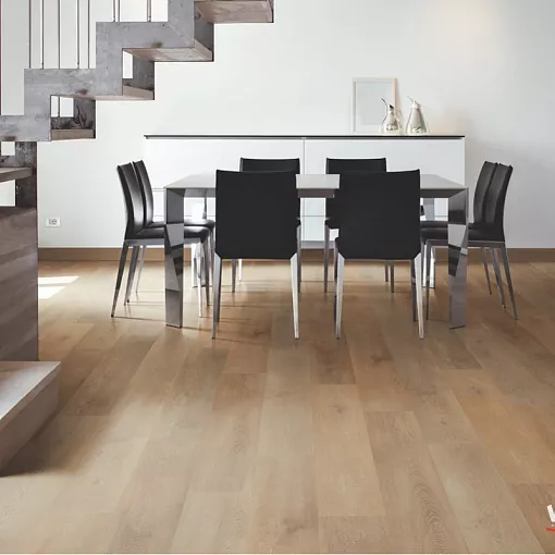 RХ22200 Дуб Авиньон