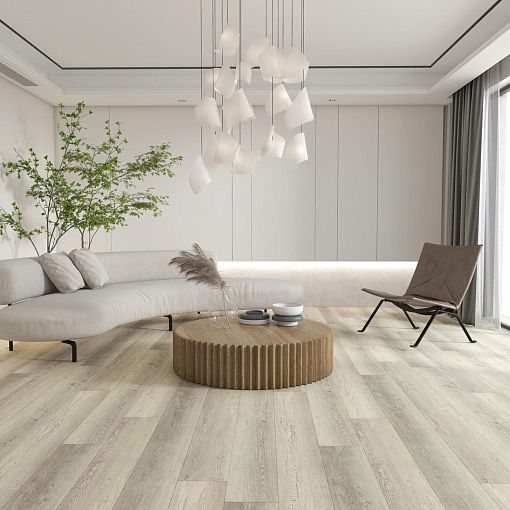 8801 Дуб Содди