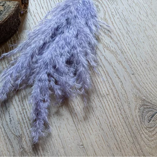 18222 Дуб Марбург