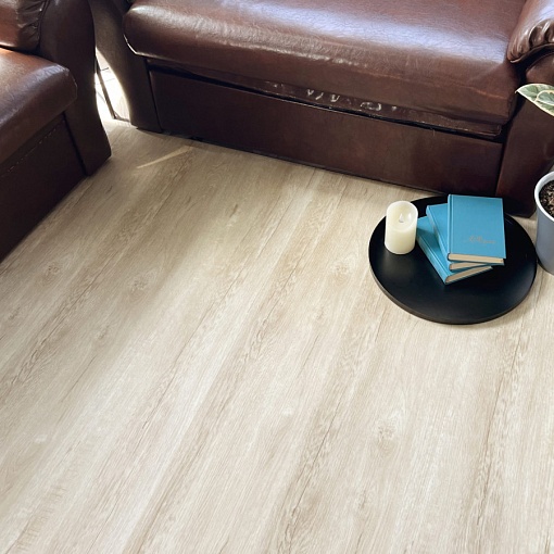 Q-10 Дуб Челси