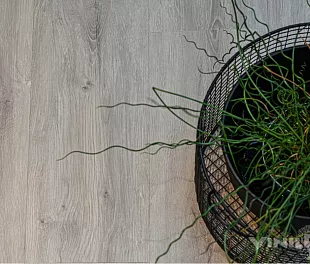 Кварцвинил 7897-EIR Дуб Неаполь 5 mm