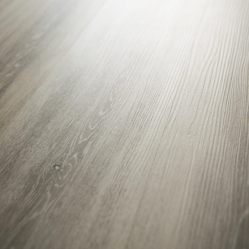 Q-13 Дуб Квинс