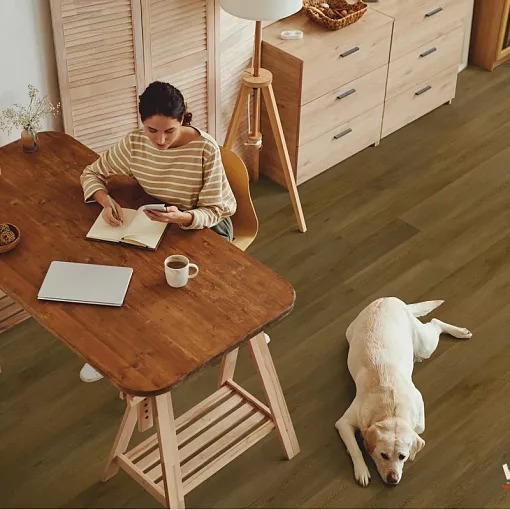 RХ22211 Дуб Руан