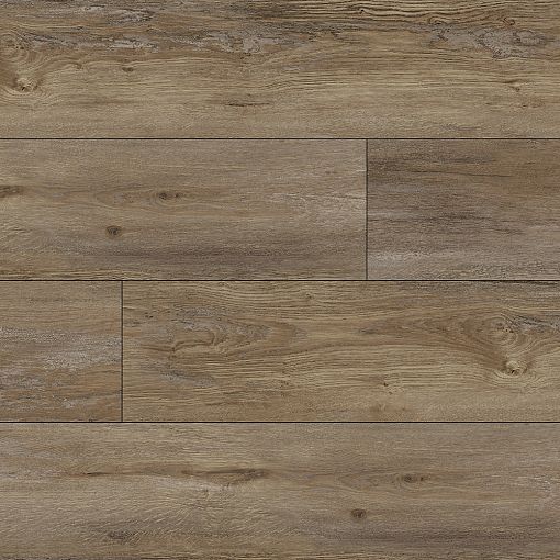 MV02 Дуб Артас