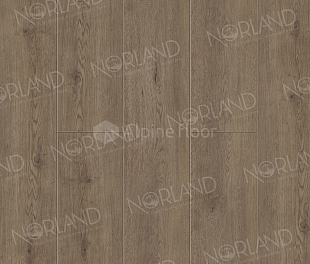 Flosi 1006-3