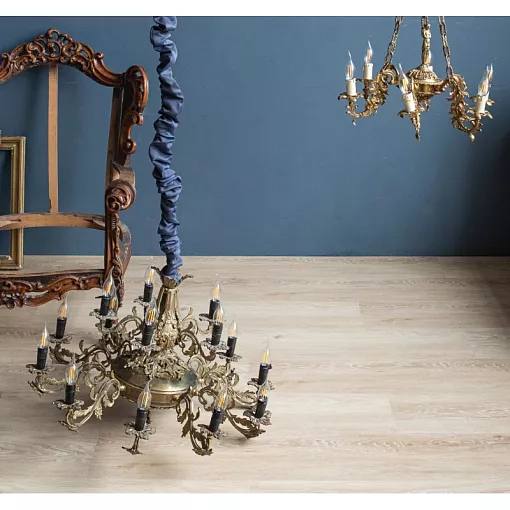 33555 Дуб Сарагоса