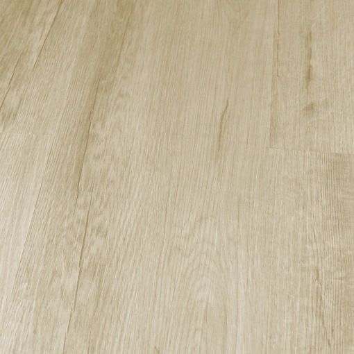 Q-10 Дуб Челси