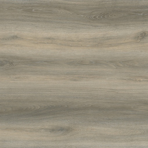 713 Дуб Винсенте