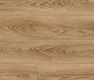 D4620 Дуб Энтони
