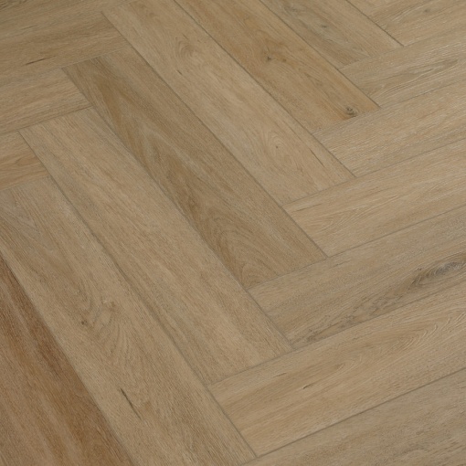 213 Дуб Тревизо