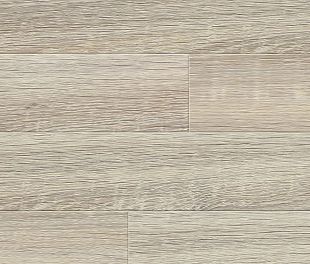 4186 Дуб Шампери